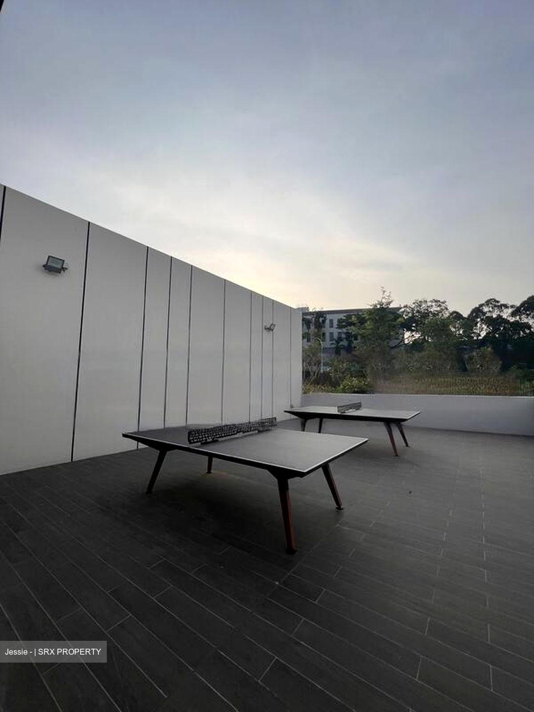 Normanton Park (D5), Apartment #473067581